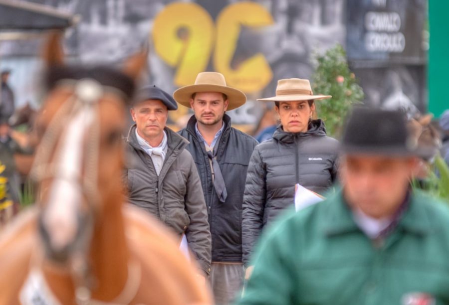 Prévia define lista completa para Morfologia do Cavalo Crioulo na Expointer