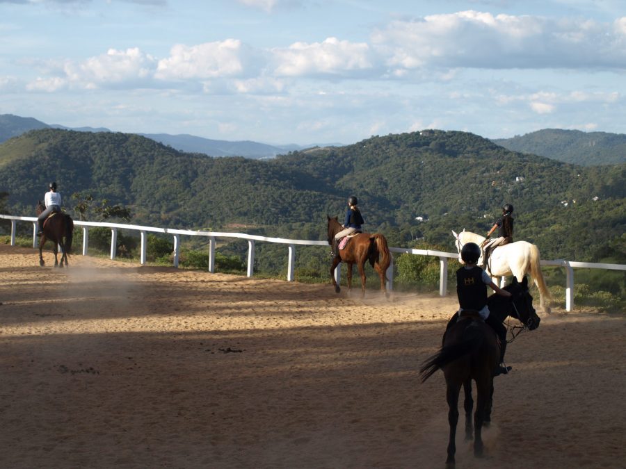 Procura-se por instrutor equestre assistente