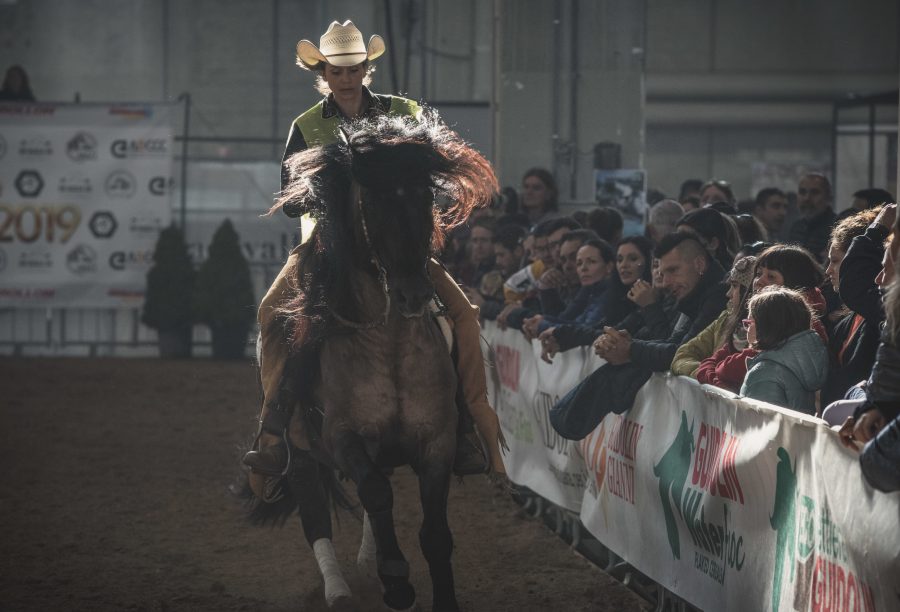 Em Busca do Cavalo Crioulo realiza nova rodada de agendas na Europa