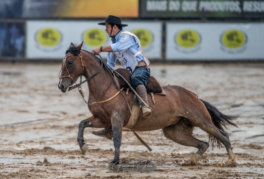 Finais da Doma têm seus vencedores no palco do Cavalo Crioulo