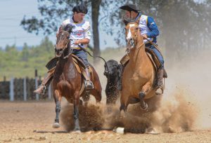 Credenciadora Freio de Ouro - Crédito Maurício Vinhas