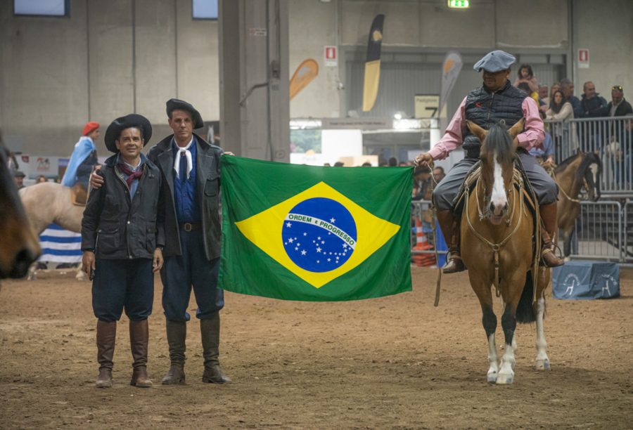 Freno de Europa mostra potencial do Cavalo Crioulo no velho continente