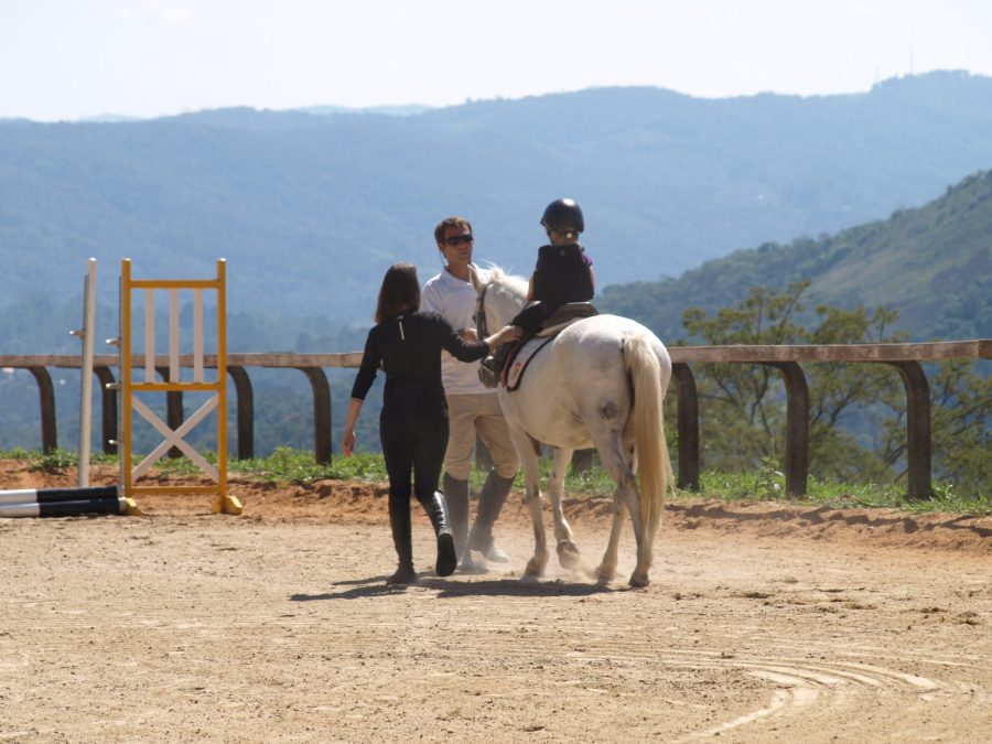 Criança, cavalo, aulas de equitação, alertas e cuidado, prazer, alegria, responsabilidade