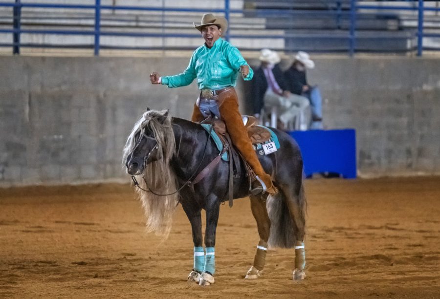 Rédeas de Ouro movimenta ciclo do Cavalo Crioulo no Paraná