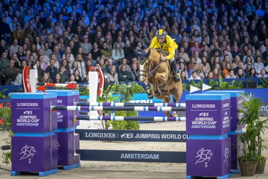 Yuri Mansur montando Vitiki, em plena forma, é bronze em GP5* na Holanda