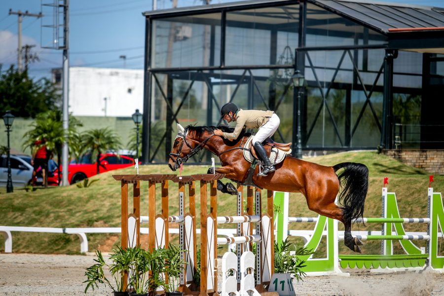 CBH lança Ranking de Cavalos Novos