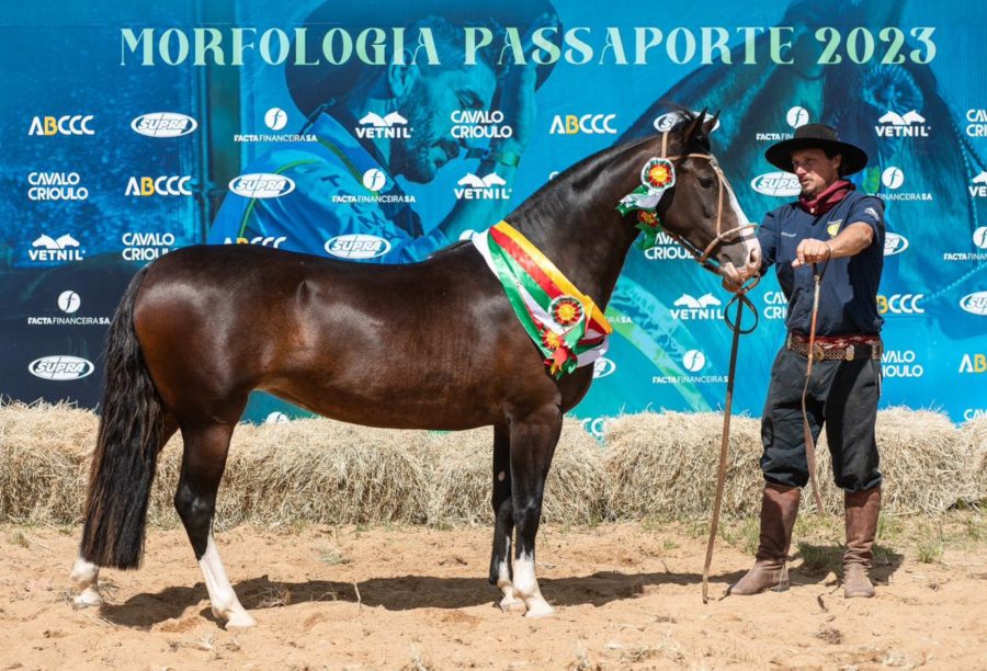 Paraná define os primeiros animais passaporteados do Ciclo Morfológico 2023