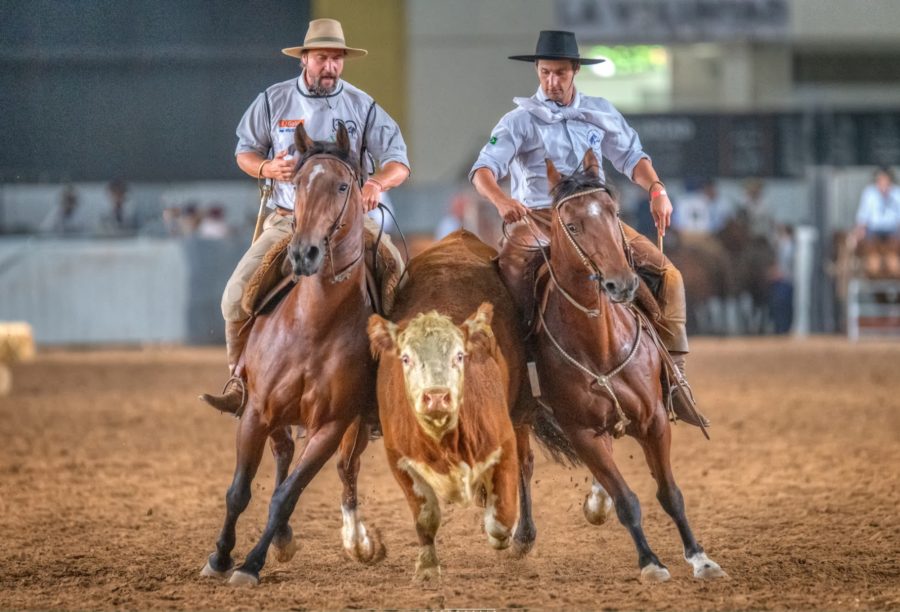 Brasileiros estreiam com vitória na Expo FICCC 2023 na Argentina