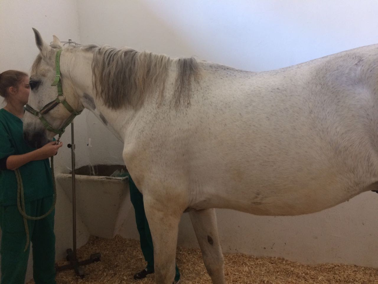 Pesquisadores desvendando os mistérios da cólica recorrente