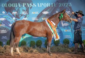 Aurora do Passo Fundo - Crédito Fagner Almeida Divulgação