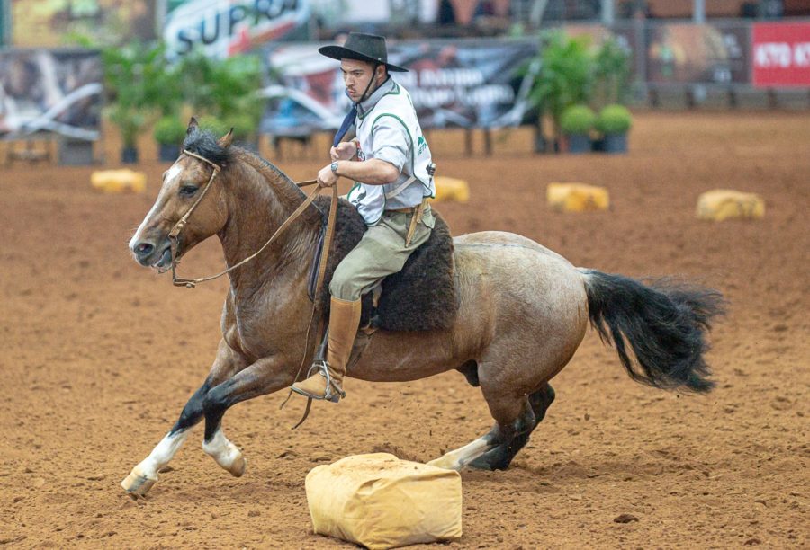 Bocal de Ouro revela primeiros classificados brasileiros para a final do Freio de Ouro