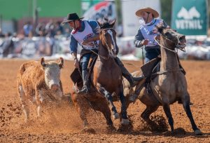 Classificatória Freio de Ouro - Crédito Felipe Ulbrich Divulgação