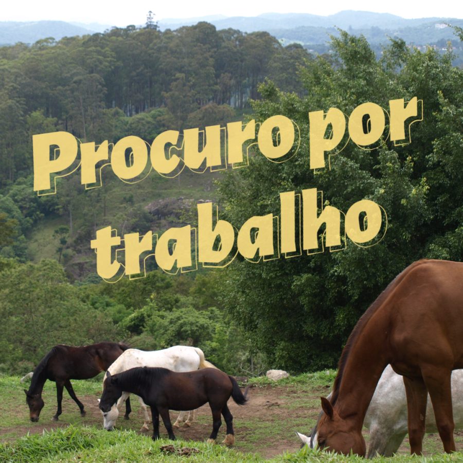 Instrutor, picador, tratador