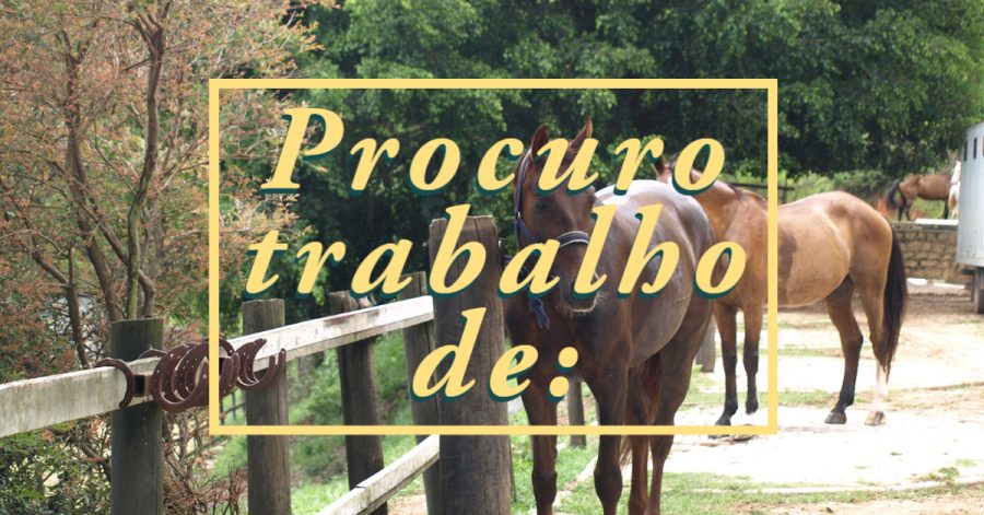 Procuro trabalho de instrutor