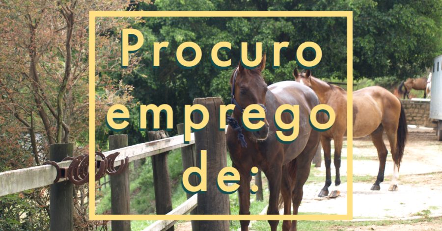 Instrutor de equitação e rédea
