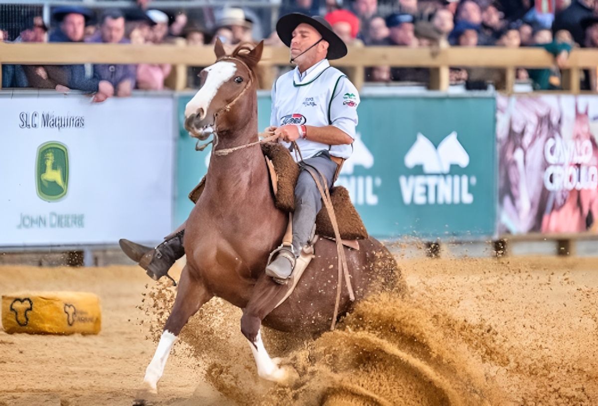 Freio de Ouro celebra os melhores da raça crioula em nova arena coberta