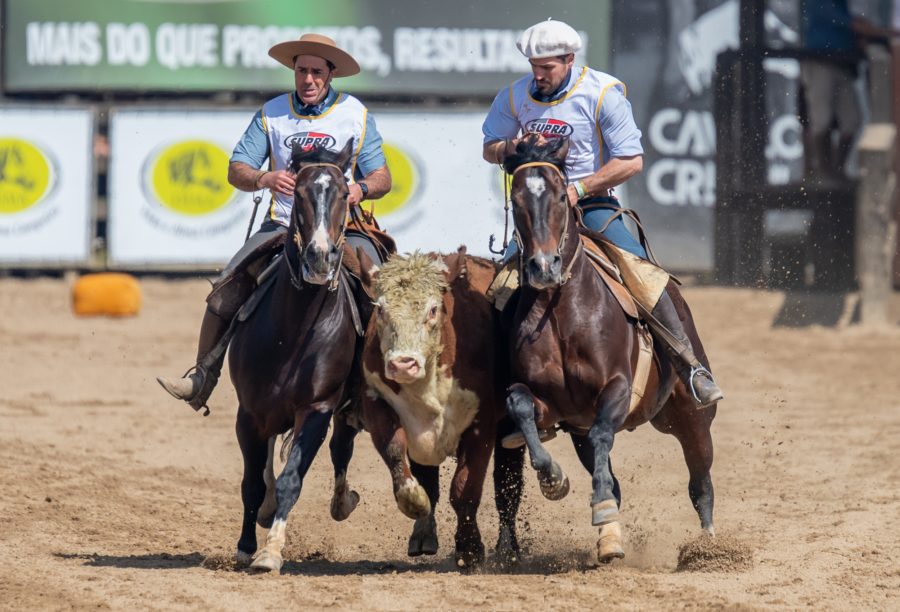 Ciclo acirrado promete grande competitividade para a final do Freio de Ouro