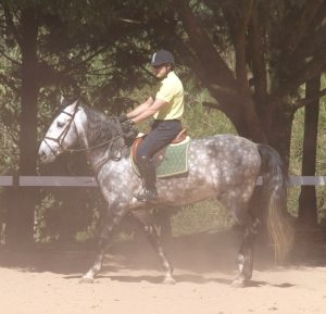 SINTA-SE CONFIANTE COM QUALQUER CAVALO