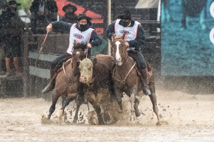 Supercopas do Proprietário e da Paleteada prometem alto grau de competitividade na Expointer