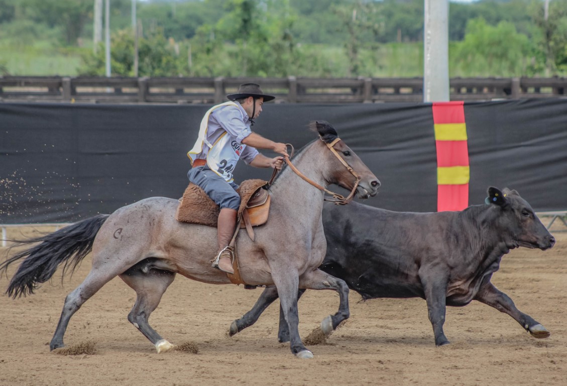 Vaquero Working Cow Horse tem estreia na Arena do Cavalo Crioulo